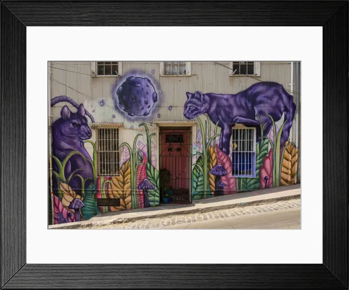 Framed Print : Painted animal mural on house, UNESCO, Cerro Alegre, Valparaiso, Valparaiso Province, Valparaiso Region, Chile Framed Print : Painted animal mural on house, UNESCO, Cerro Alegre, Valparaiso, Valparaiso Province, Valparaiso Region, Chile