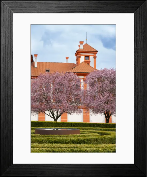 Framed Print : Blooming trees in garden of Troja Chateau in spring, Prague, Bohemia, Czech Republic Framed Print : Blooming trees in garden of Troja Chateau in spring, Prague, Bohemia, Czech Republic