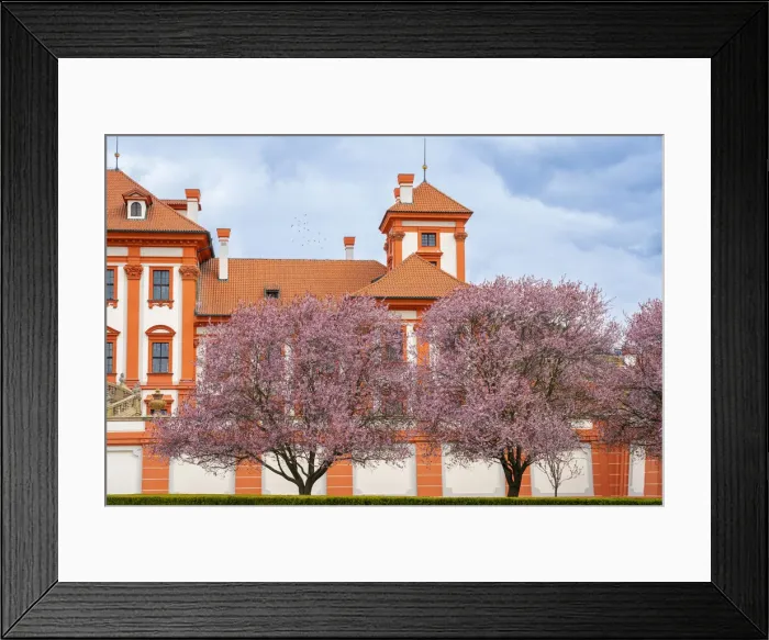 Framed Print : Blooming trees in garden of Troja Chateau in spring, Prague, Bohemia, Czech Republic Framed Print : Blooming trees in garden of Troja Chateau in spring, Prague, Bohemia, Czech Republic