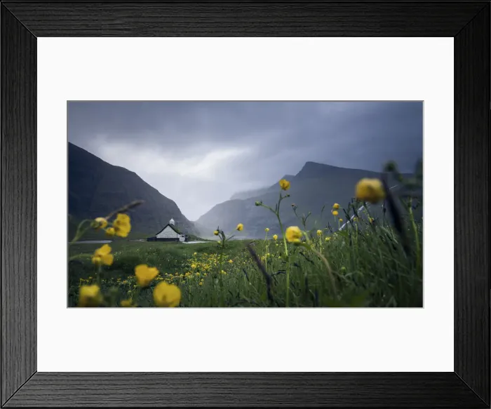 Framed Print : The church in Saksun surrounded by yellow flowers and grass. Faroe Islands Framed Print : The church in Saksun surrounded by yellow flowers and grass. Faroe Islands