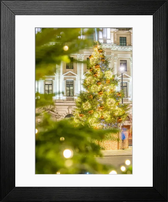 Framed Print : Christmas tree, Mayfair, London, England, UK