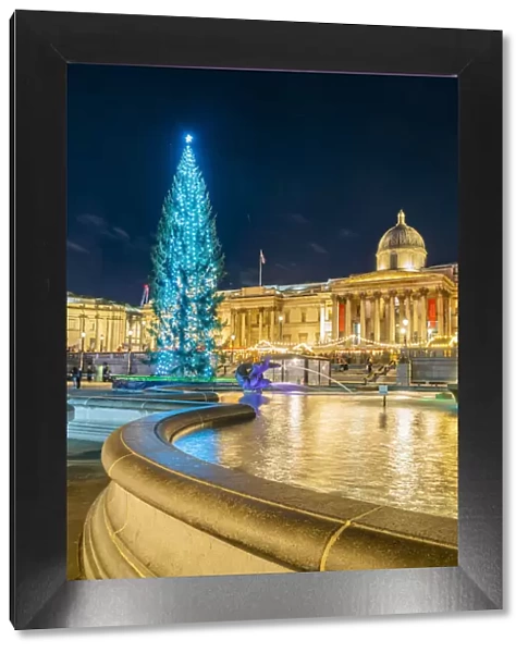 Trafalgar Square illuminated at night at Christmas, London, England, UK