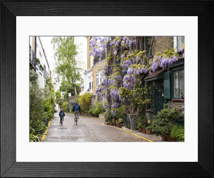 Framed Print : Wisteria in Kynance Mews, Kensington, London, England Framed Print : Wisteria in Kynance Mews, Kensington, London, England