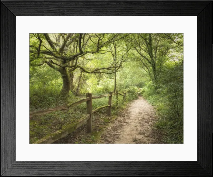 Framed Print : A footpath in the Rivers Wood near Haywards Heath, Sussex, England