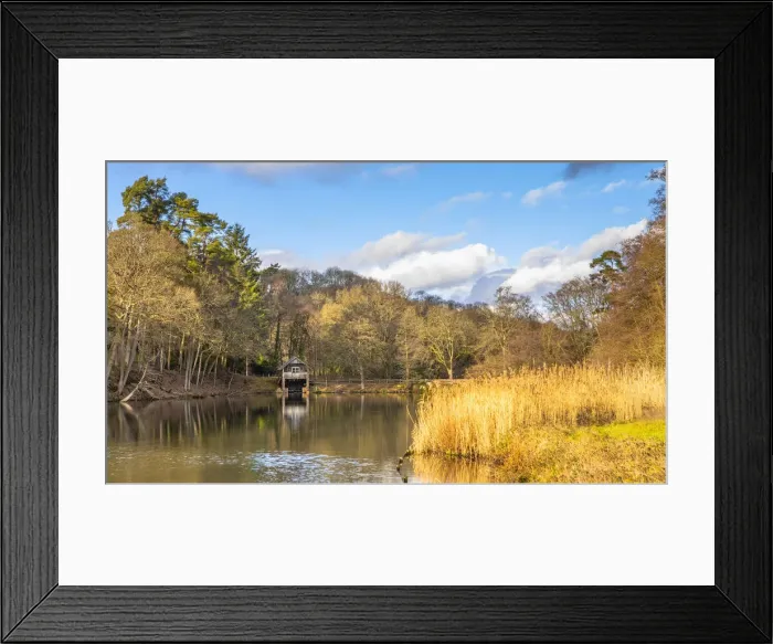 Framed Print : Winkworth Arboretum, Godalming, Surrey, England, United Kingdom Framed Print : Winkworth Arboretum, Godalming, Surrey, England, United Kingdom