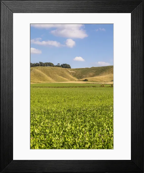 Framed Print : Cherhill White Horse, Calne, Wiltshire, England, United Kingdom Framed Print : Cherhill White Horse, Calne, Wiltshire, England, United Kingdom