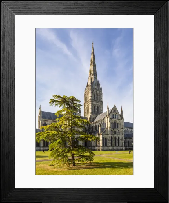 Framed Print : Salisbury Cathedral, Salisbury, Wiltshire, England, United Kingdom Framed Print : Salisbury Cathedral, Salisbury, Wiltshire, England, United Kingdom
