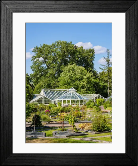 Framed Print : Kaisaniemi Botanical Garden, Helsinki, Uusimaa County, Finland Framed Print : Kaisaniemi Botanical Garden, Helsinki, Uusimaa County, Finland