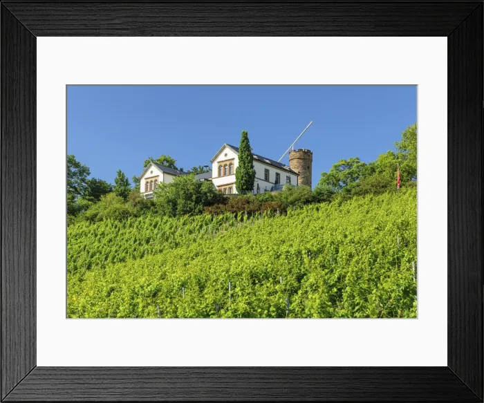 Framed Print : Restaurant Wartberg and Wartbergturm Tower, Heilbronn, Baden-Wurttemberg, Germany Framed Print : Restaurant Wartberg and Wartbergturm Tower, Heilbronn, Baden-Wurttemberg, Germany