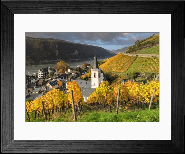 Framed Print : Assmannshausen, Upper Middle Rhine Valley, Hesse, Germany Framed Print : Assmannshausen, Upper Middle Rhine Valley, Hesse, Germany