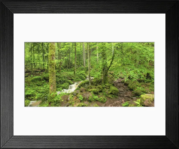 Framed Print : Waterfall at Monbachtal Valley, Black Forest, Baden-Wurttemberg, Germany Framed Print : Waterfall at Monbachtal Valley, Black Forest, Baden-Wurttemberg, Germany