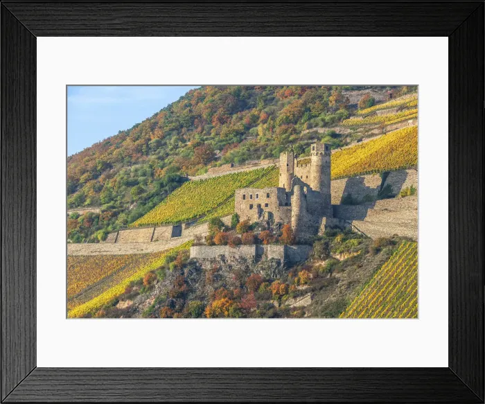Framed Print : Ehrenfels castle, Rhine valley, UNESCO World Heritage site, Hesse, Germany Framed Print : Ehrenfels castle, Rhine valley, UNESCO World Heritage site, Hesse, Germany