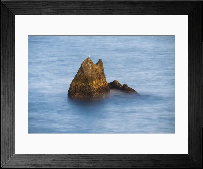 Framed Print : Seagull perching on rock formation at Valahnukamol, Reykjanes Peninsula, Iceland Framed Print : Seagull perching on rock formation at Valahnukamol, Reykjanes Peninsula, Iceland