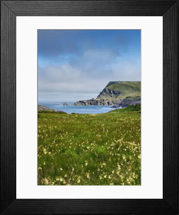 Framed Print : Ireland, Co. Donegal, Glencolumbkille (Glencolmcille), Glen head, meadow of wild flowers Framed Print : Ireland, Co. Donegal, Glencolumbkille (Glencolmcille), Glen head, meadow of wild flowers