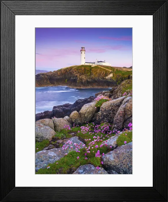 Framed Print : Ireland, Co. Donegal, Fanad, Fanad lighthouse with Sea thrift in foreground at dusk Framed Print : Ireland, Co. Donegal, Fanad, Fanad lighthouse with Sea thrift in foreground at dusk