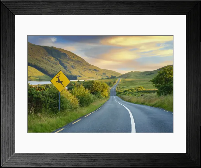Framed Print : Ireland, Co. Donegal, Fintown, winding road through countryside with deer sign Framed Print : Ireland, Co. Donegal, Fintown, winding road through countryside with deer sign