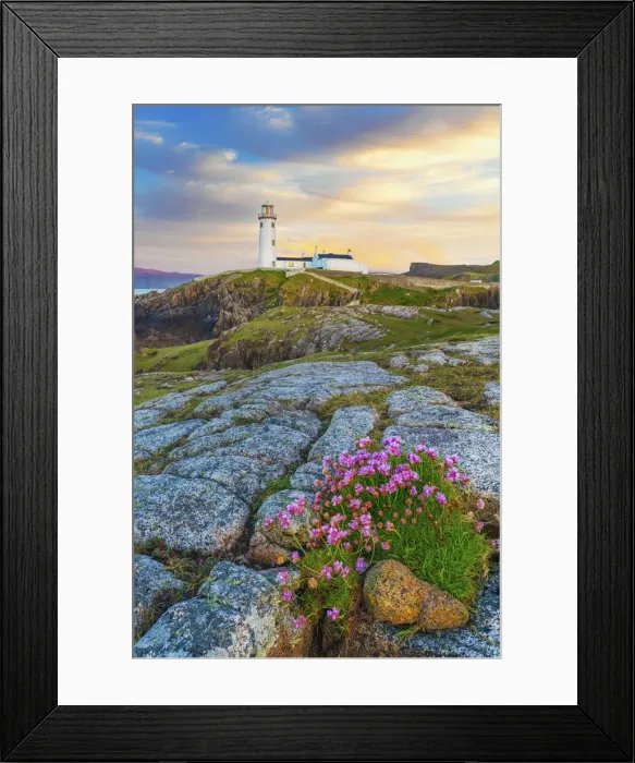 Framed Print : Ireland, Co. Donegal, Fanad, Fanad lighthouse with Sea thrift in foreground Framed Print : Ireland, Co. Donegal, Fanad, Fanad lighthouse with Sea thrift in foreground