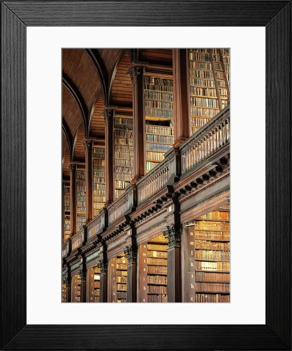 Framed Print : Republic of Ireland, Dublin, Trinity College, Old Library, spiral staircase Framed Print : Republic of Ireland, Dublin, Trinity College, Old Library, spiral staircase