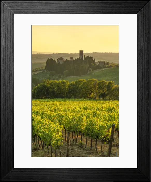Framed Print : San Michele Arcangelo a Passignano Abbey, Badia a Passignano, Chianti, Firenze District, Tuscany, Italy Framed Print : San Michele Arcangelo a Passignano Abbey, Badia a Passignano, Chianti, Firenze District, Tuscany, Italy