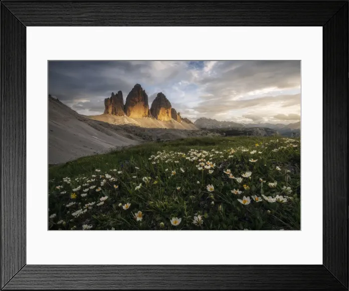 Framed Print : The iconic Tre Cime di Lavaredo and some wildflowers during a calm summer evening, in the Italian Dolomites Framed Print : The iconic Tre Cime di Lavaredo and some wildflowers during a calm summer evening, in the Italian Dolomites