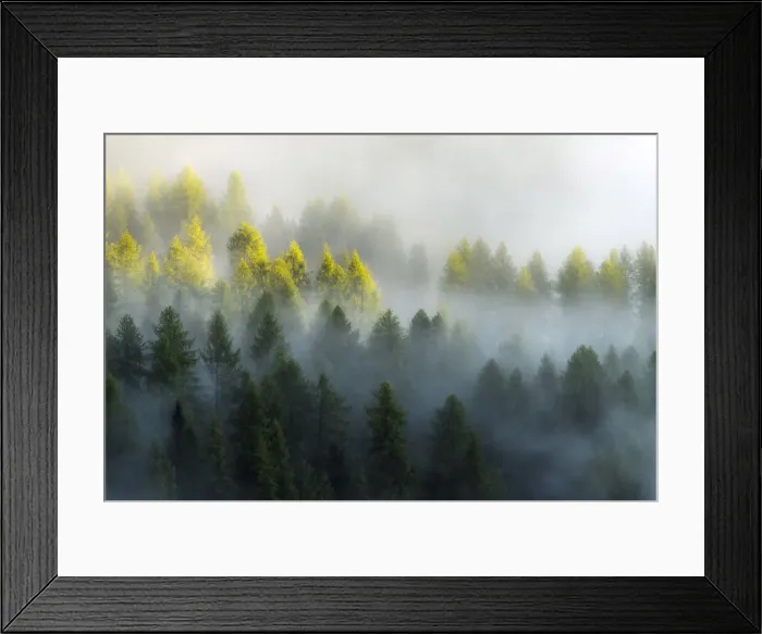 Framed Print : As the fog started to lift, layers upon layers started to appear and reveal the forests below the Giau Pass. Dolomites, Italy Framed Print : As the fog started to lift, layers upon layers started to appear and reveal the forests below the Giau Pass. Dolomites, Italy