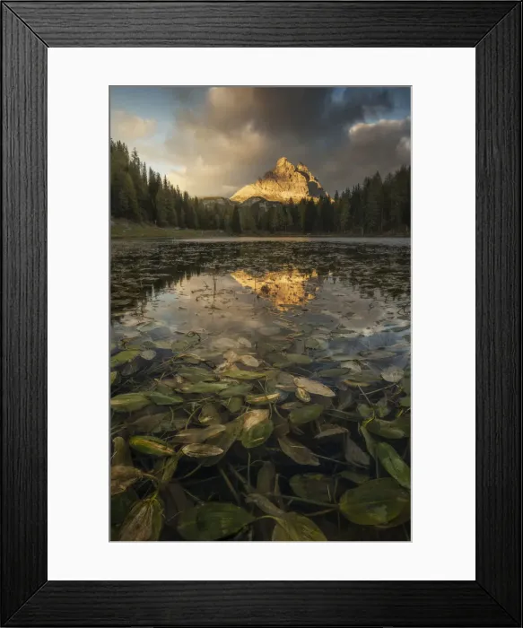 Framed Print : The Tre Cime di Lavaredo reflecting in the Antorno lake during an early autumn sunset, with some algies in the foreground. Dolomites, Italy Framed Print : The Tre Cime di Lavaredo reflecting in the Antorno lake during an early autumn sunset, with some algies in the foreground. Dolomites, Italy