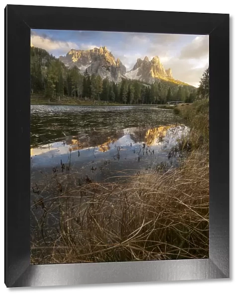 The Cadini di Misurina reflecting in the Antorno lake during an early autumn sunset, with some bushes in the foreground. Dolomites, Italy