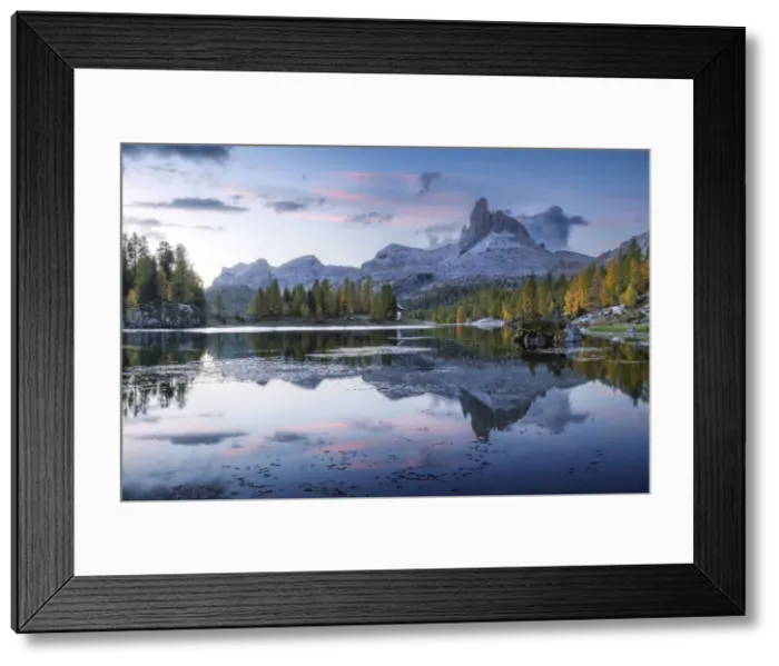 Framed Print : An early autumn morning along the shores of the Federa lake, one of the most incredible locations of the area to capture the larches typical autumn colors, with the Becco di Mezzodi mountain reflecting in it. Dolomites, Italy Framed Print : An early autumn morning along the shores of the Federa lake, one of the most incredible locations of the area to capture the larches typical autumn colors, with the Becco di Mezzodi mountain reflecting in it. Dolomites, Italy