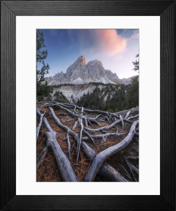 Framed Print : The Sass de Putia takes the last light of the day during an autumn sunset. Passo delle Erbe, Dolomites, Italy Framed Print : The Sass de Putia takes the last light of the day during an autumn sunset. Passo delle Erbe, Dolomites, Italy