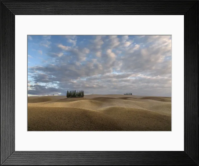 Framed Print : The classic Tuscany landscape during a cloudy autumn sunuset: rolling hills ready to be planted again and some cypress trees. Tuscany, Italy Framed Print : The classic Tuscany landscape during a cloudy autumn sunuset: rolling hills ready to be planted again and some cypress trees. Tuscany, Italy