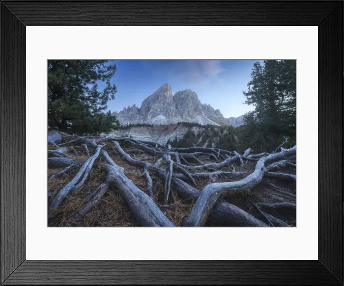 Framed Print : The Sass de Putia takes the last light of the day during an autumn sunset. Passo delle Erbe, Dolomites, Italy Framed Print : The Sass de Putia takes the last light of the day during an autumn sunset. Passo delle Erbe, Dolomites, Italy