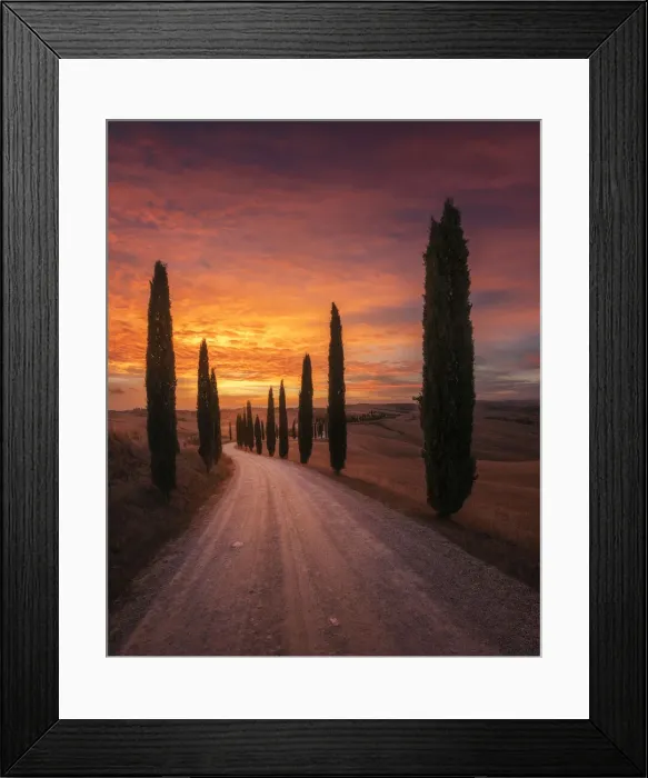 Framed Print : The winding road that leads to the iconic Podere Baccoleno in the Siena countryside during an explosive autumn sunset. Tuscany, Italy Framed Print : The winding road that leads to the iconic Podere Baccoleno in the Siena countryside during an explosive autumn sunset. Tuscany, Italy