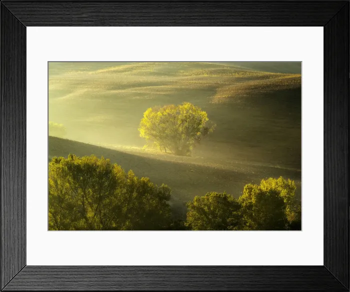 Framed Print : A few trees create the perfect framing during an autumn morning. Dolomites, Italy Framed Print : A few trees create the perfect framing during an autumn morning. Dolomites, Italy