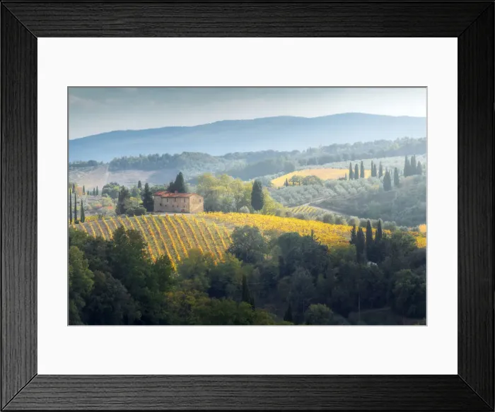 Framed Print : A fairytale-like view of the Tuscany hills, with vineyards and cypress trees everywhere and a lonely countryhouse to complete the scene, near San Gimignano, Tuscany, Italy Framed Print : A fairytale-like view of the Tuscany hills, with vineyards and cypress trees everywhere and a lonely countryhouse to complete the scene, near San Gimignano, Tuscany, Italy