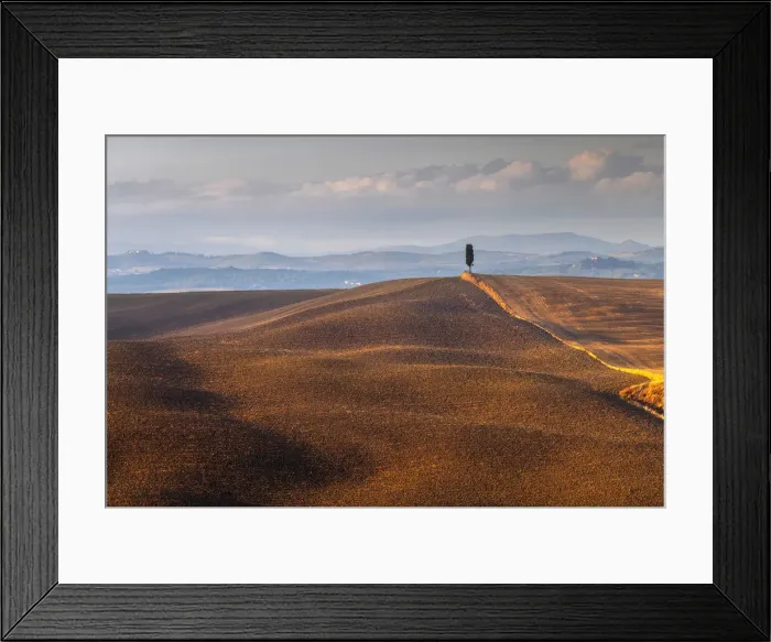 Framed Print : A lonely cypress tree and some rolling hills illuminated by the late afternoon warm light in autumn, not far from Asciano, Tuscany, Italy Framed Print : A lonely cypress tree and some rolling hills illuminated by the late afternoon warm light in autumn, not far from Asciano, Tuscany, Italy