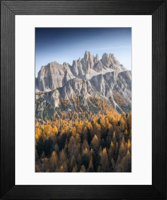 Framed Print : The Croda da Lago and Lastoi de Formin bathed in the late afternoon light, with endless larches forests in the valley. Dolomites, Italy Framed Print : The Croda da Lago and Lastoi de Formin bathed in the late afternoon light, with endless larches forests in the valley. Dolomites, Italy