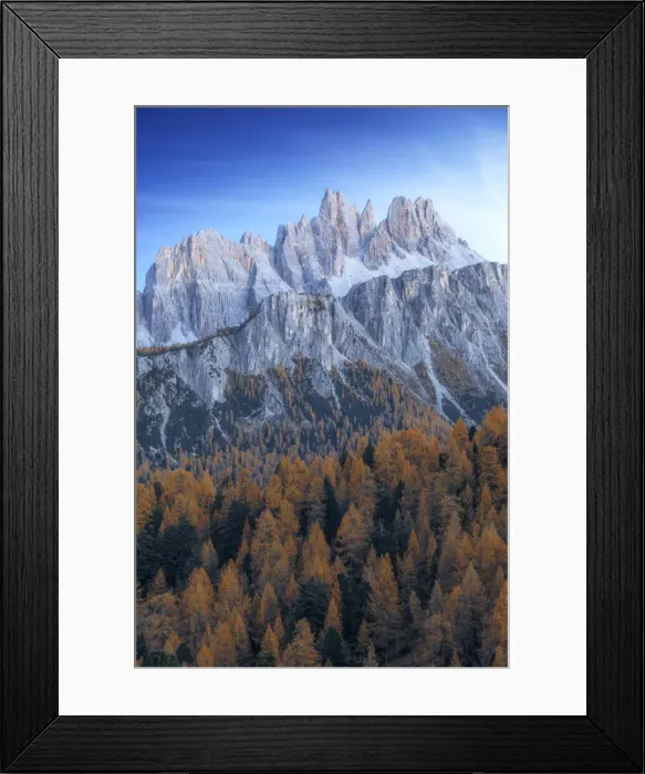 Framed Print : The Croda da Lago and Lastoi de Formin mountains at twilight, with the golden larches glowing in the darkness. Dolomites, Italy Framed Print : The Croda da Lago and Lastoi de Formin mountains at twilight, with the golden larches glowing in the darkness. Dolomites, Italy