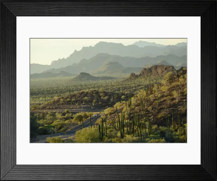 Framed Print : North America, Mexico, Baja California Sur, Loreto, Highway 1 Framed Print : North America, Mexico, Baja California Sur, Loreto, Highway 1