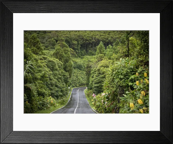 Framed Print : Curvy street in the lush with mountain slope, Flores Island, Azores, Portugal, Europe Framed Print : Curvy street in the lush with mountain slope, Flores Island, Azores, Portugal, Europe