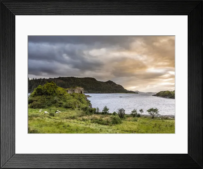 Framed Print : Strome Castle, Strathcarron, Highlands, Scotland, United Kingdom Framed Print : Strome Castle, Strathcarron, Highlands, Scotland, United Kingdom