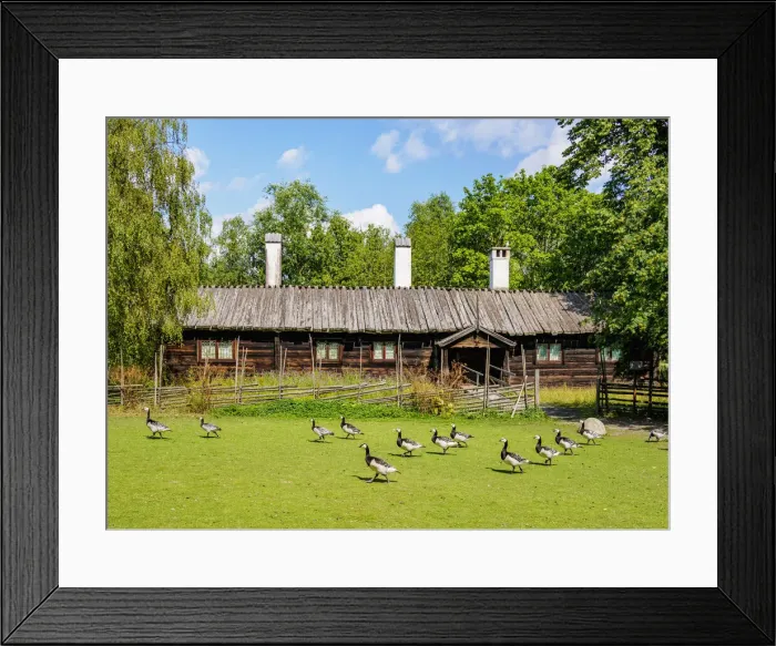 Framed Print : Skansen open air museum, Stockholm, Stockholm County, Sweden Framed Print : Skansen open air museum, Stockholm, Stockholm County, Sweden