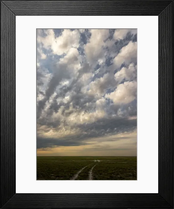 Framed Print : Vehicle track across the grassland, Liuwa Plain National Park, Zambia