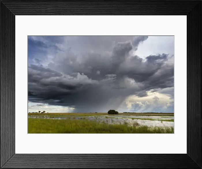 Framed Print : Storm and rain cloud over grassland during the rainy season, Liuwa Plain National Park, Zambia Framed Print : Storm and rain cloud over grassland during the rainy season, Liuwa Plain National Park, Zambia