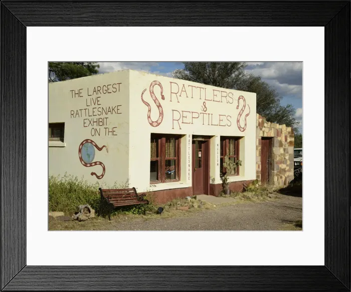 Framed Print : USA, Texas, West Texas, Fort Davis, Reptile shop