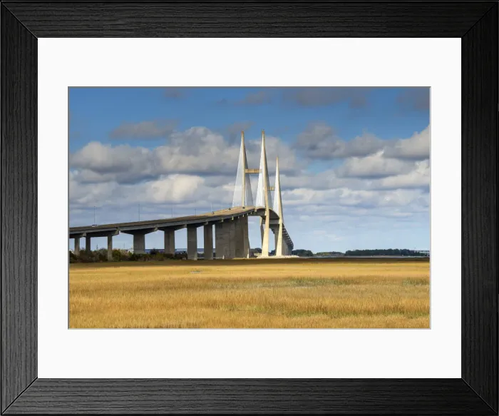 Framed Print : Georgia, Brunswick, Sidney Lanier Bridge, Cable-Stayed Bridge, Crosses The Brunswick River Framed Print : Georgia, Brunswick, Sidney Lanier Bridge, Cable-Stayed Bridge, Crosses The Brunswick River