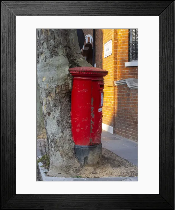 Framed Print : Red postbox and tree, South Kensington, London, England, UK Framed Print : Red postbox and tree, South Kensington, London, England, UK