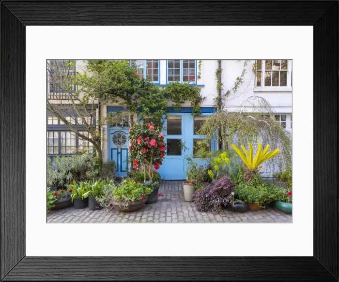 Framed Print : Mews houses, Paddington, London, England, UK