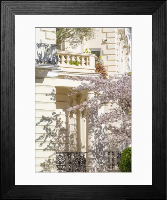 Framed Print : Cherry blossom, Notting Hill, London, England, UK Framed Print : Cherry blossom, Notting Hill, London, England, UK