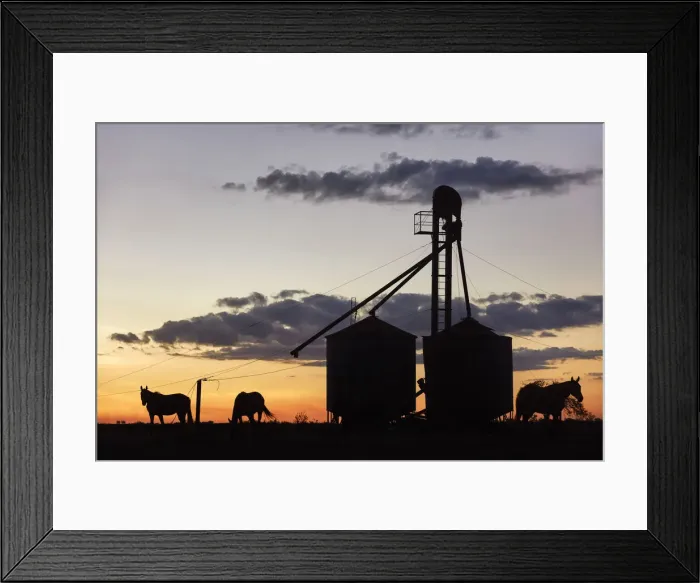 Framed Print : Horses and silos of the Estancia La Violeta Polo Club at sunset, Chajari, Entre Rios, Argentina