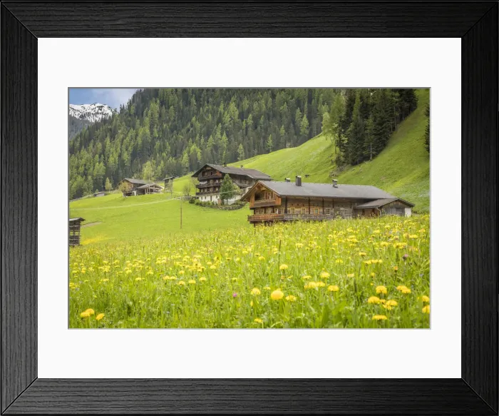 Framed Print : Summer meadow and mountain farms in Arntal, Villgratental, East Tyrol, Tyrol, Austria Framed Print : Summer meadow and mountain farms in Arntal, Villgratental, East Tyrol, Tyrol, Austria